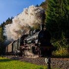 obere Wutachtalbahn: Einfahrt Grimmelshofen im Gegenlicht