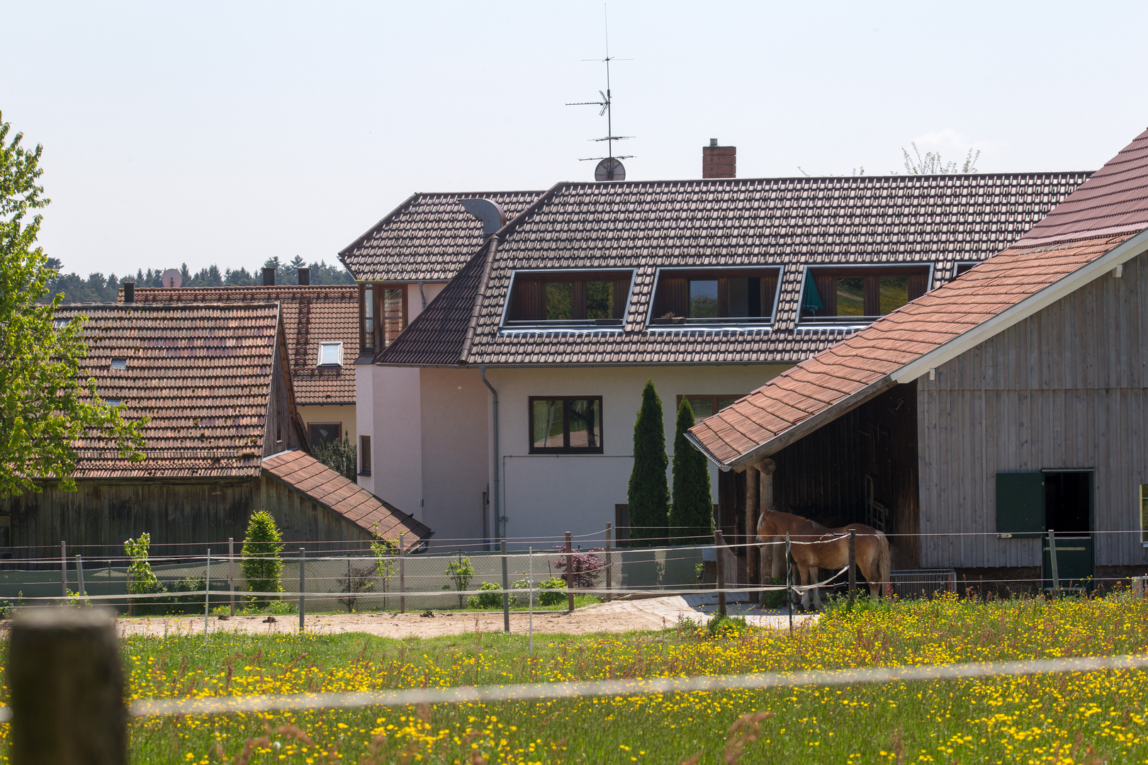 Oberelengenhardter Landgasthof Hotel Ochsen mit Pferd