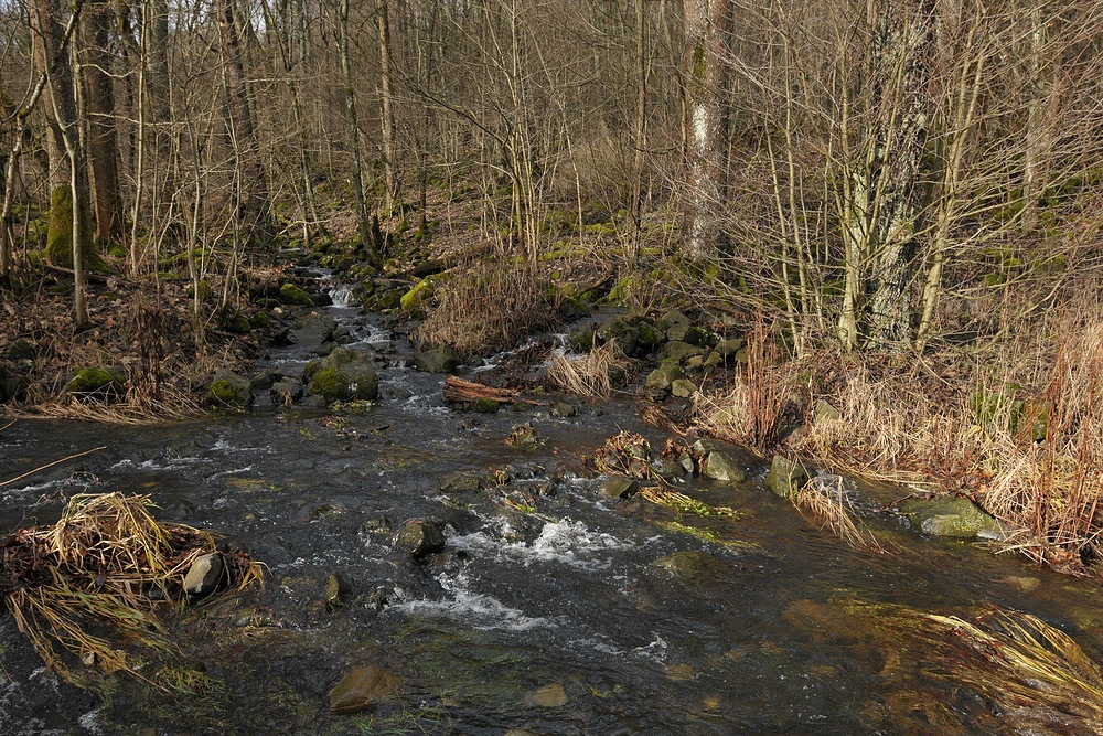 Oberelsbacher Graben: Bachrauschen ohne Schnee 01