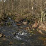 Oberelsbacher Graben: Bachrauschen ohne Schnee 01