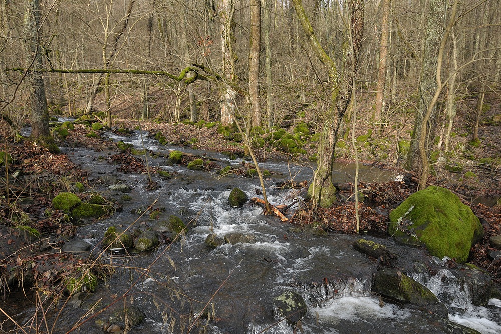 Oberelsbacher Graben: Bachrauschen ohne Schnee 03