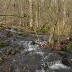 Oberelsbacher Graben: Bachrauschen ohne Schnee 03