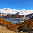 Oberengadiner Herbstträume