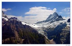 oberer Grindelwaldgletscher