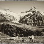 Oberer Grindelwaldgletscher