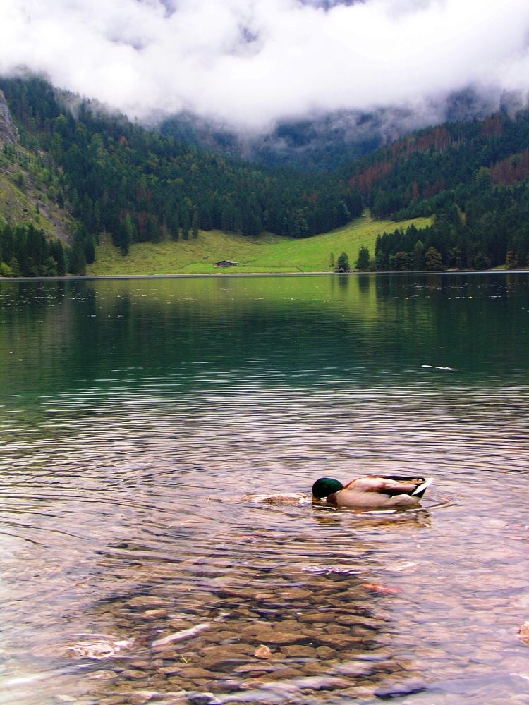 Oberer Königssee