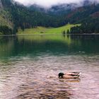 Oberer Königssee