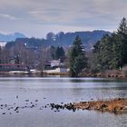 Oberer Lechsee