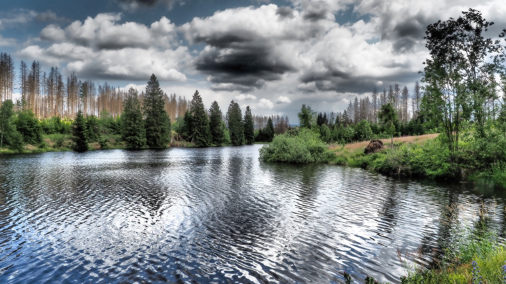 Oberer Nassenwieser Teich, Harz