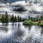 Oberer Nassenwieser Teich, Harz