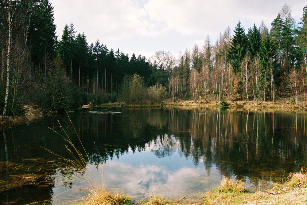 oberer Seerenteich