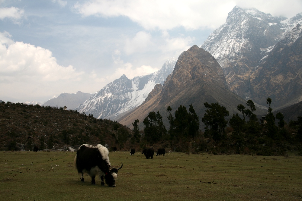 Oberes Budhi Gandaki Tal