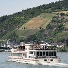 Oberes Mittelrheintal - Die Pfalz, die Burg Gutenfels und die "Asbach" bei Kaub am Rhein