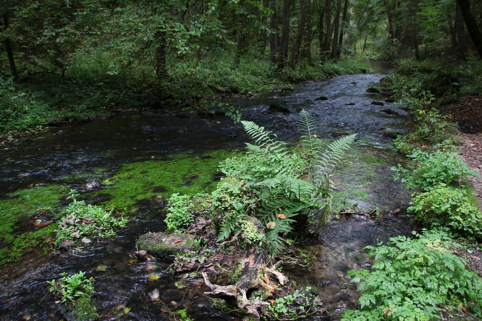 Oberes Püttlachtal