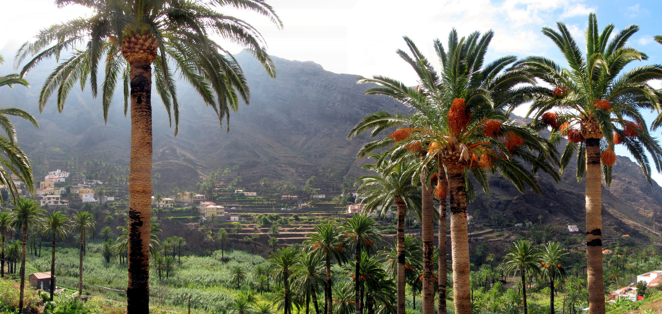 oberes Valle Tal III - La Gomera