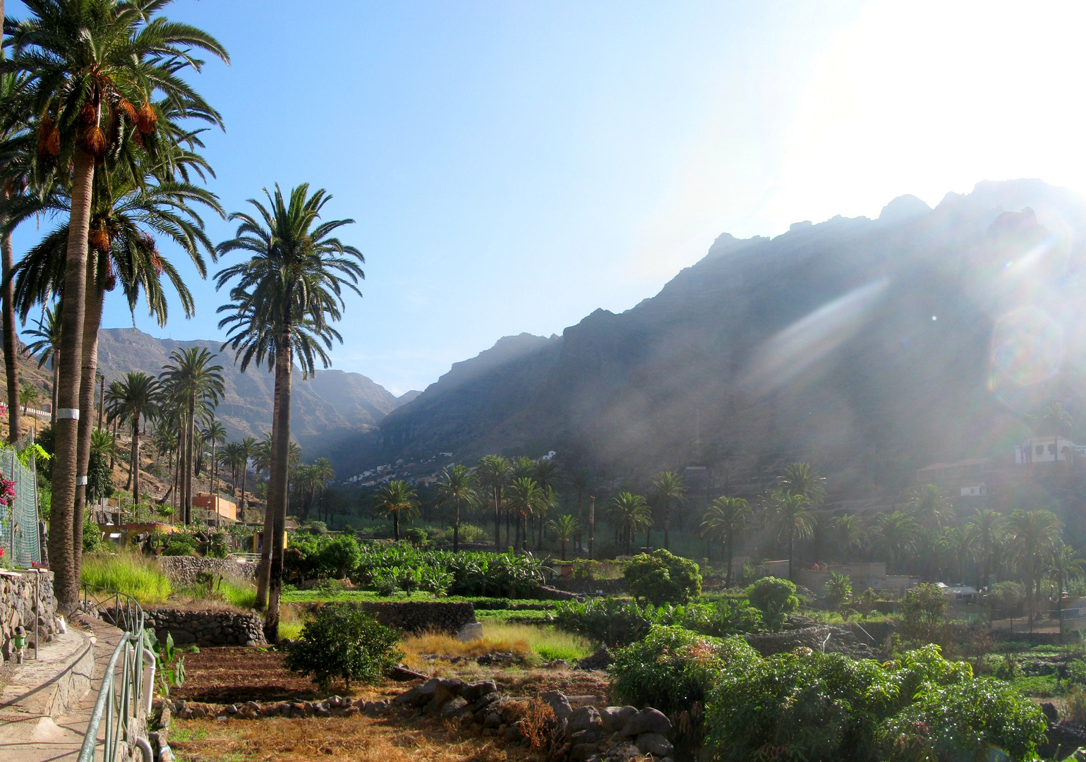 oberes Valle Tal - La Gomera