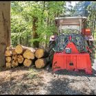 "Oberfänkische Wälder,...Heimat"