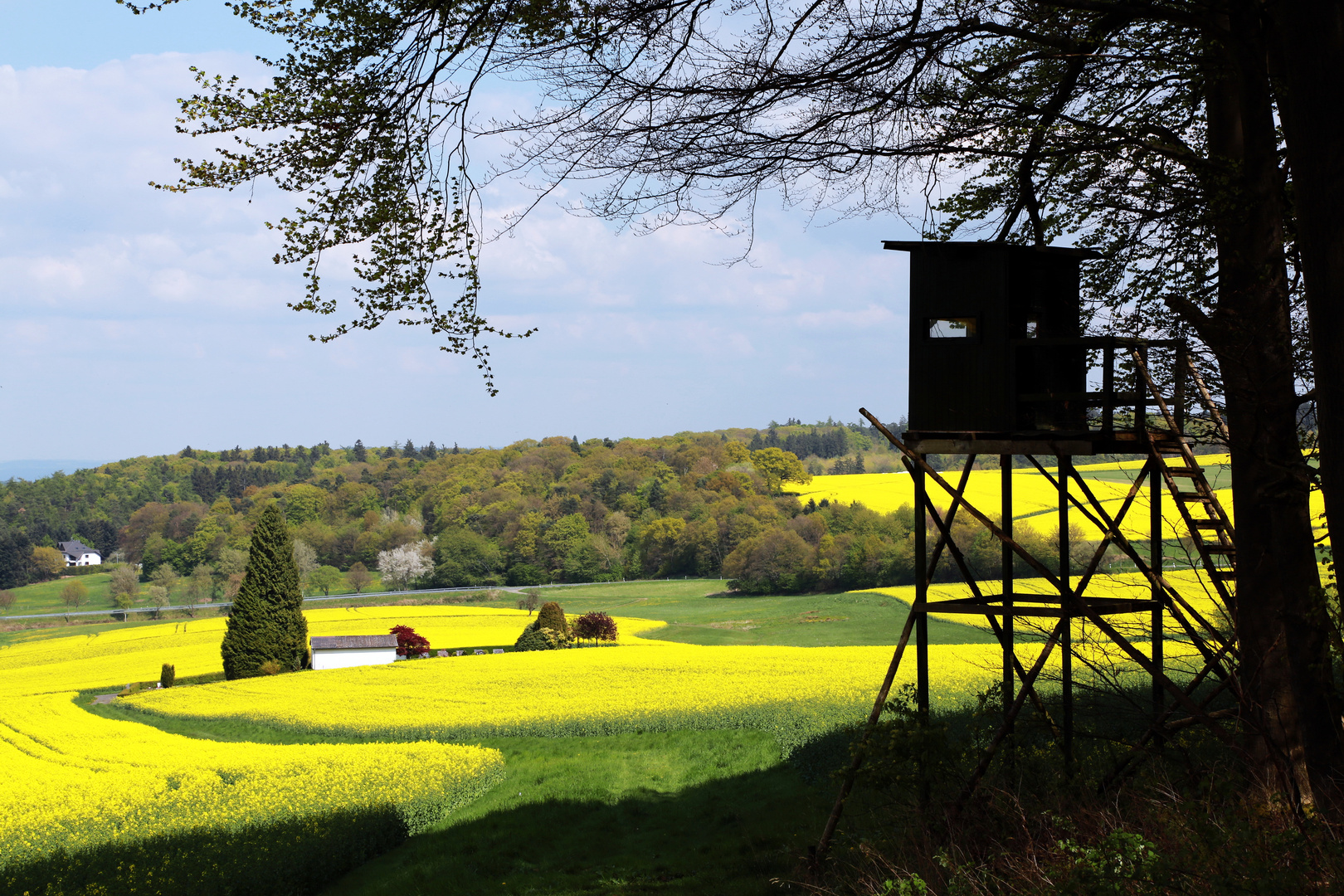 Oberfischbach 2014 041