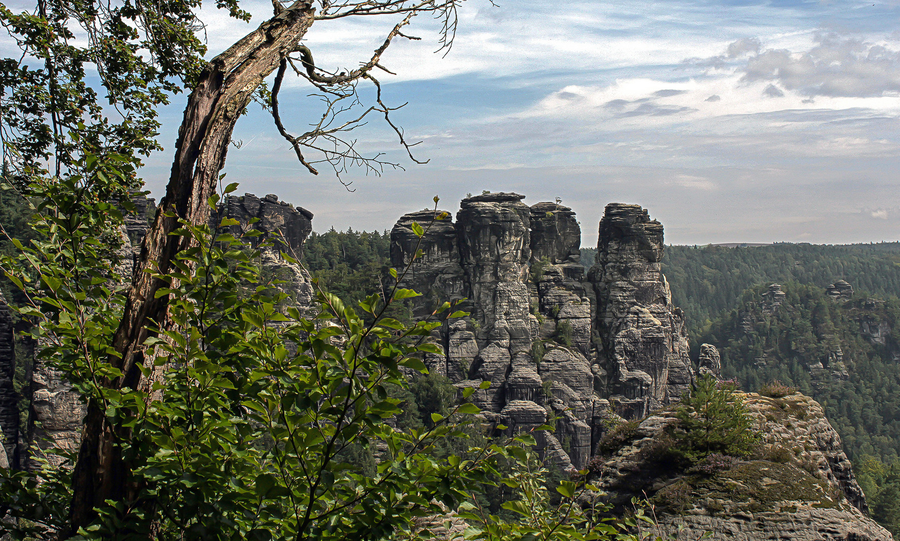 Oberhalb der Elbfähre bei Rathen