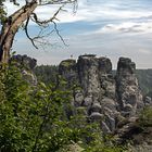 Oberhalb der Elbfähre bei Rathen