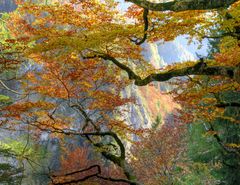 Oberhalb der Garnitzen - Klamm