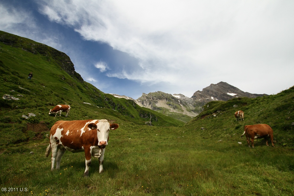 Oberhalb der Kapruner Stauseen, auf dem Weg zum Grießkogel