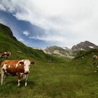 Oberhalb der Kapruner Stauseen, auf dem Weg zum Grießkogel