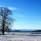 Oberhalb der Nebelgrenze...