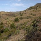 Oberhalb des Barranco de Argaga