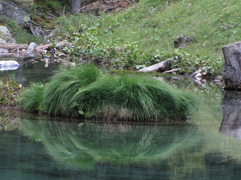 Oberhalb des Grünseeli