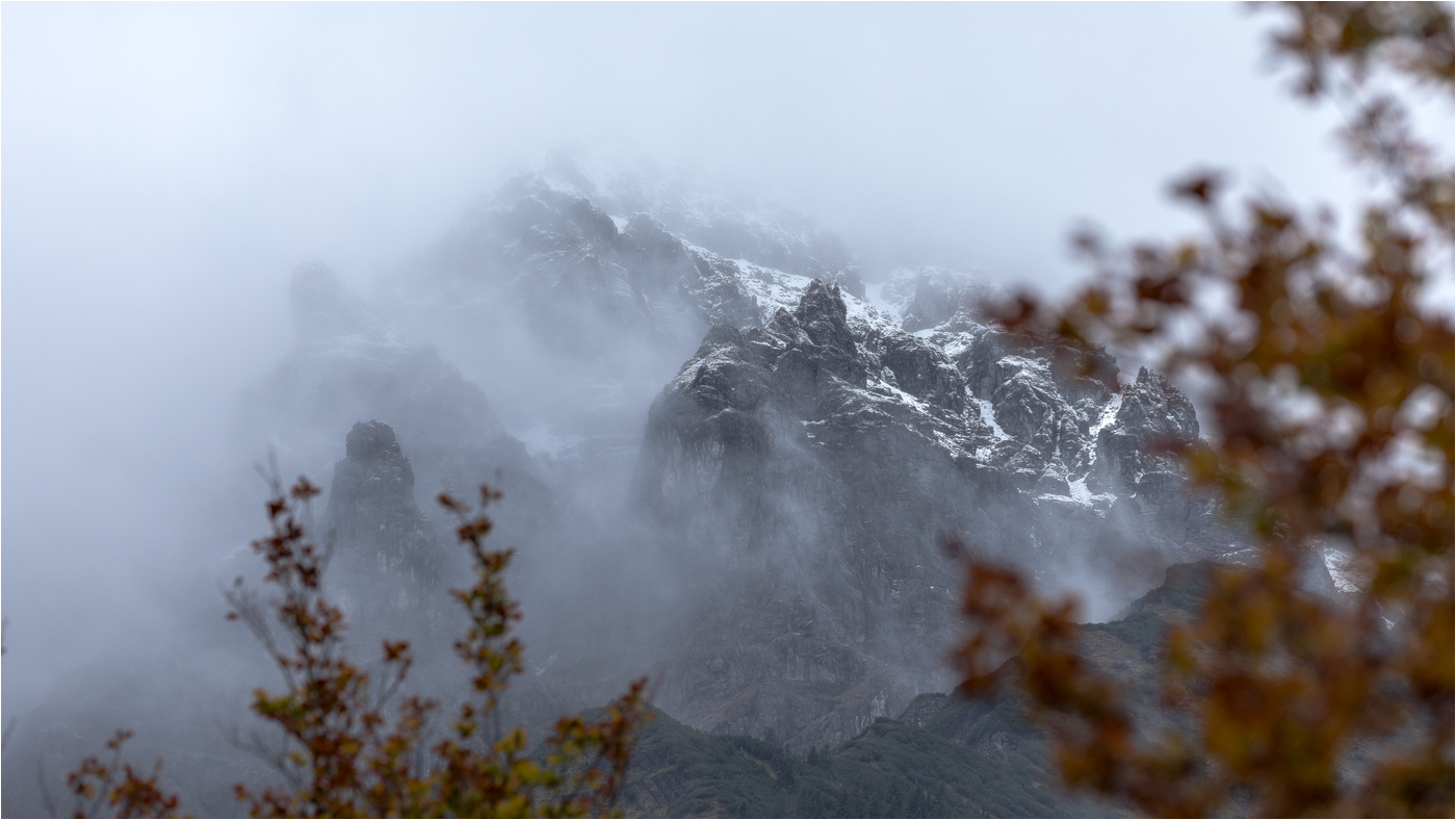 Oberhalb des Hirschrevieres