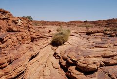 oberhalb des Kings Canyons