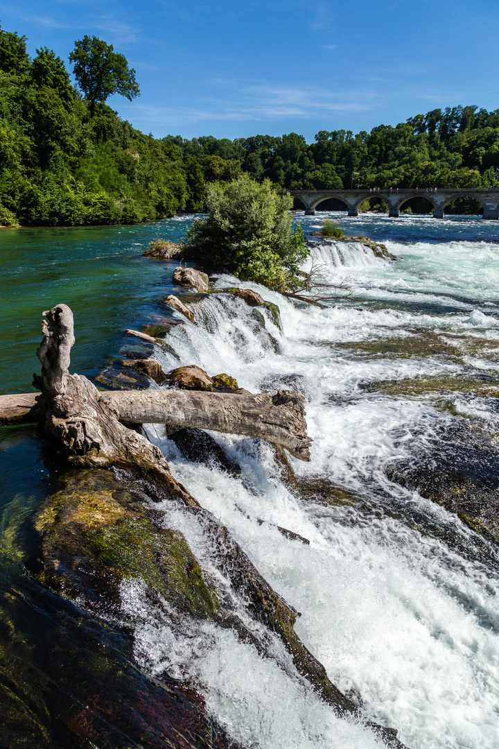 Oberhalb des Rheinfalls