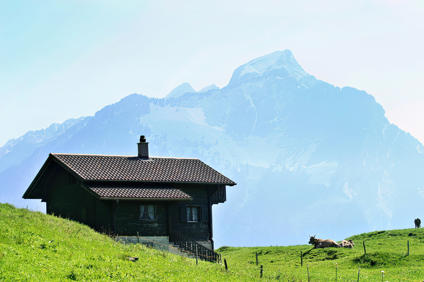 Oberhalb des Vierwaldstättersees