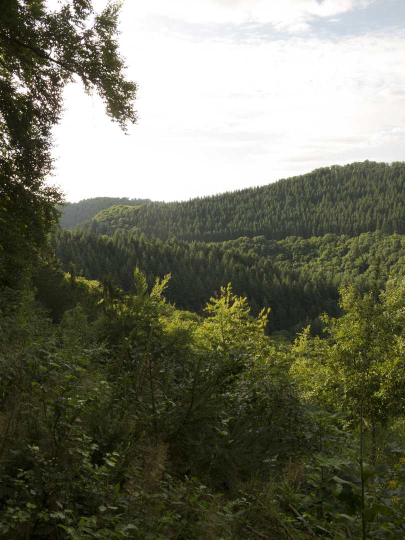 oberhalb Lieserpfad