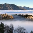 Oberhalb vom Nebel 