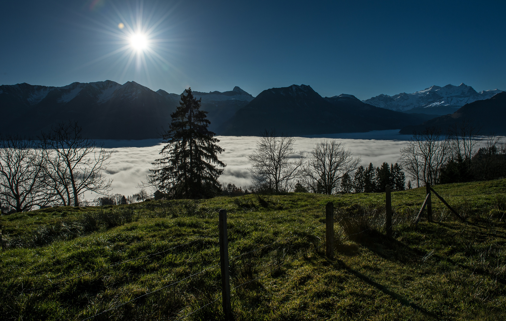 Oberhalb vom Nebelmeer 1