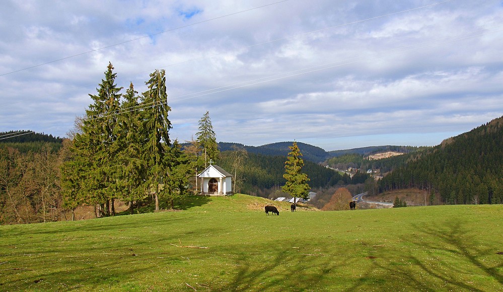 oberhalb von Blauenthal...