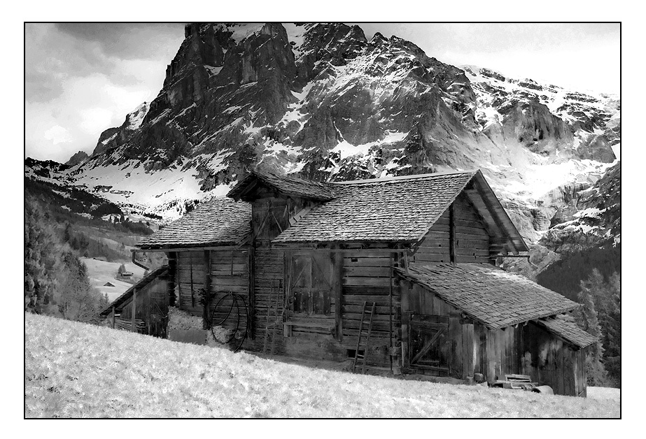 Oberhalb von Grindelwald