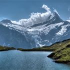 Oberhalb von Grindelwald lll