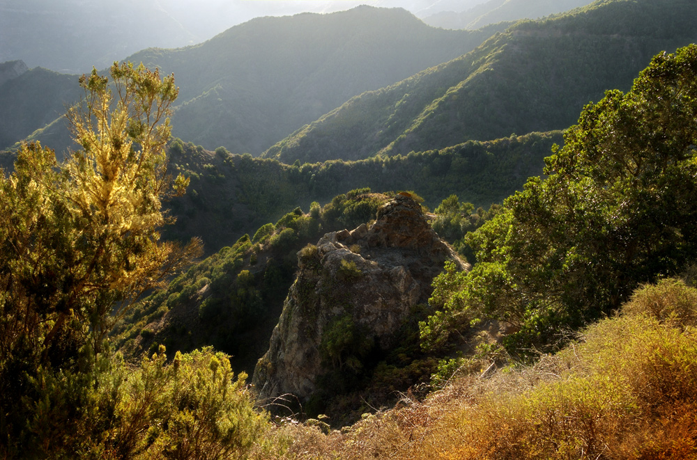 oberhalb von Hermigua, La Gomera