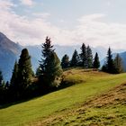 Oberhalb von Mayrhofen