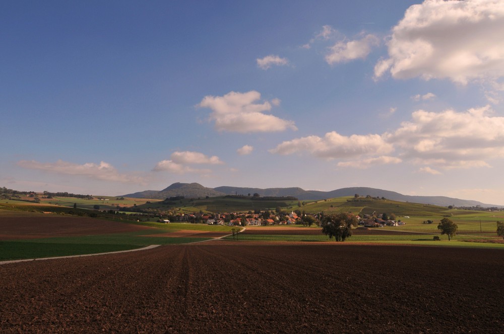 Oberhallau im Herbst