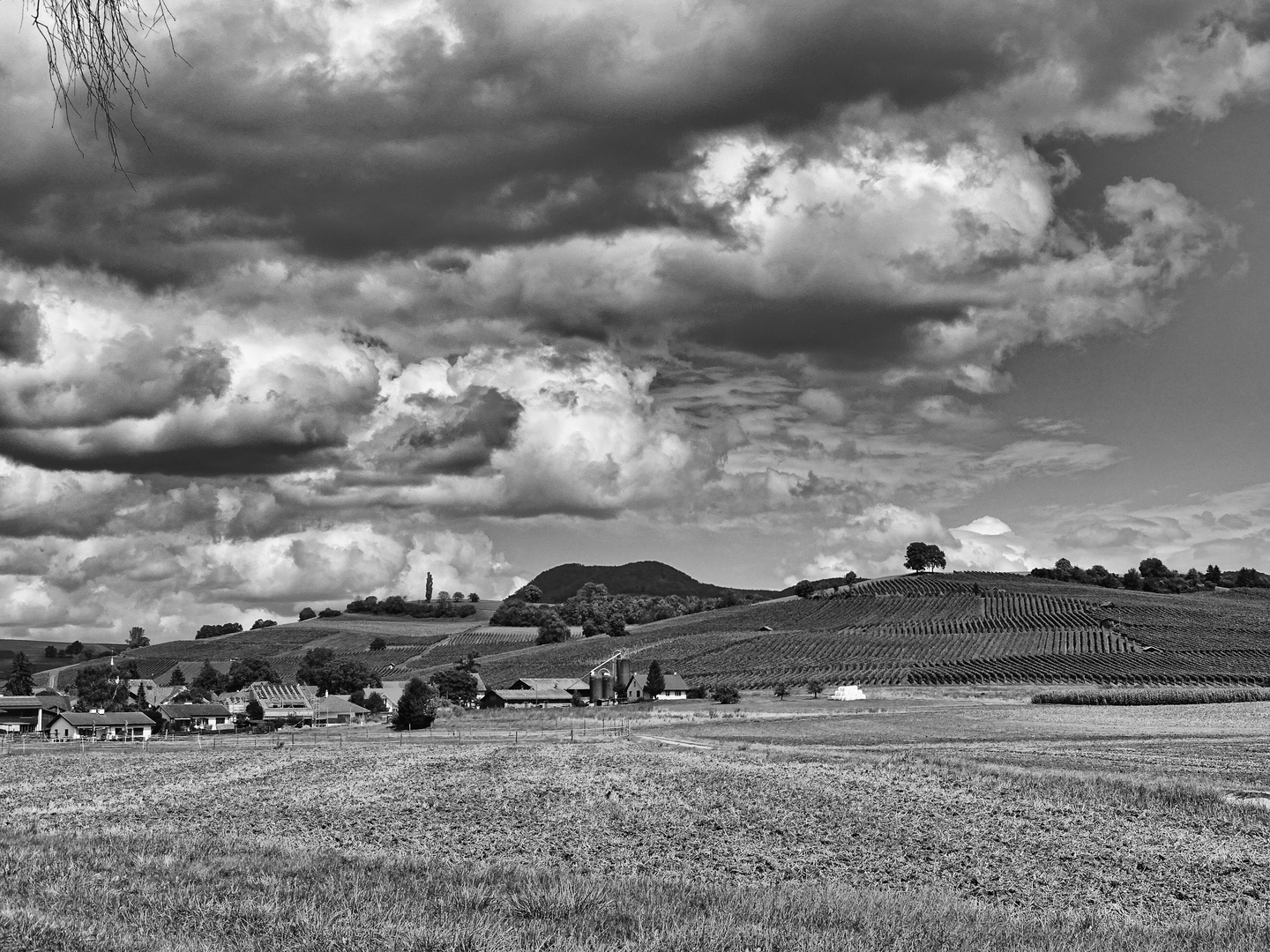 Oberhallau Klettgau CH