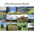 Oberharmersbach