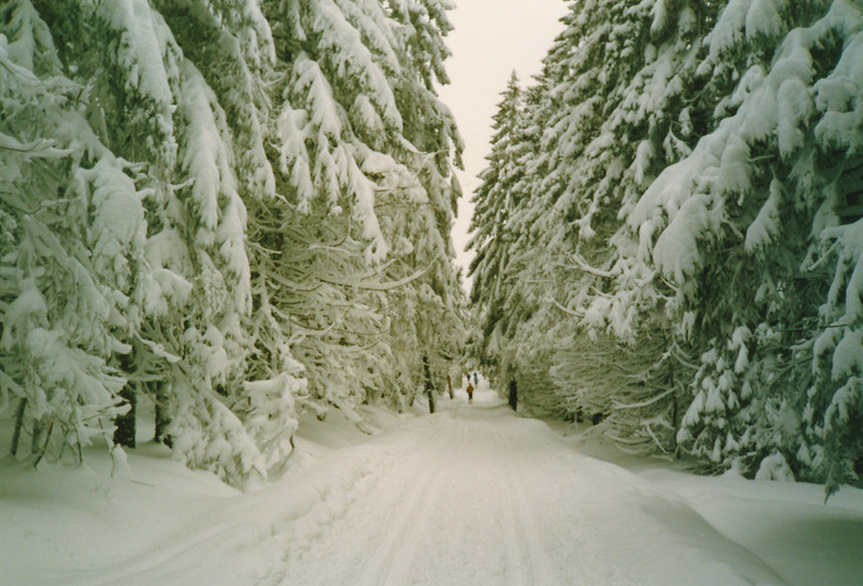 Oberharz 1986