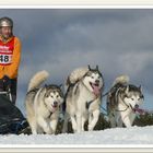 Oberharzer Schlittenhunde Adventure 2017