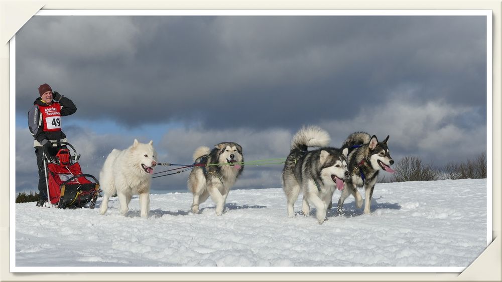 Oberharzer Schlittenhunde Adventure 2017