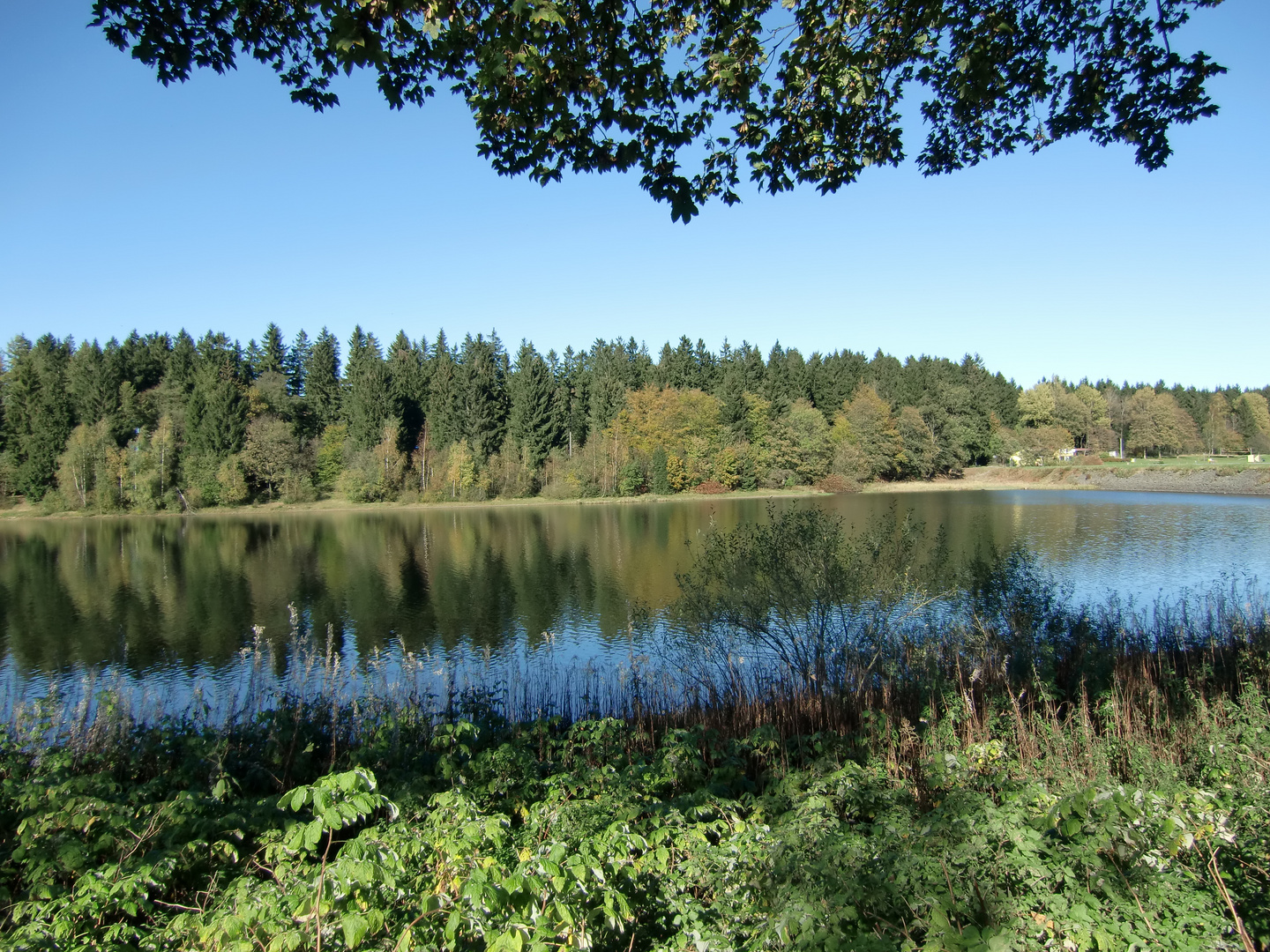 Oberharzer Wasserregal (Clausthal)