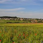 Oberhasli sommer